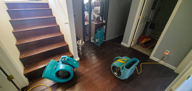 Best Emergency water extraction  in Brooklyn Center, MN