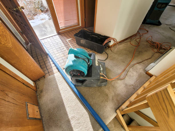 Best Water damage contractors near me  in Brooklyn Center, MN