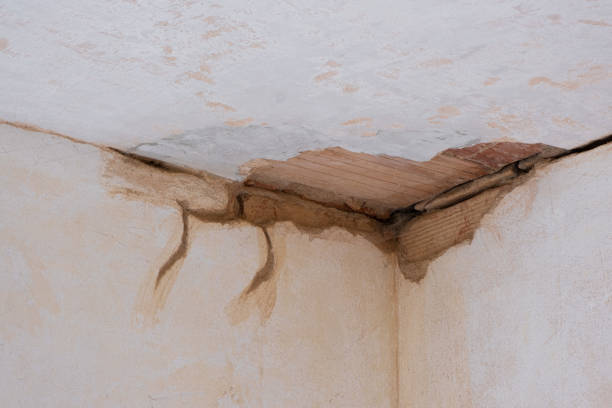 Best Basement water damage restoration  in Brooklyn Center, MN