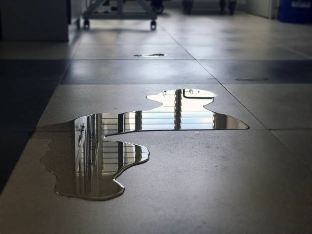 Best Commercial water damage restoration  in Brooklyn Center, MN