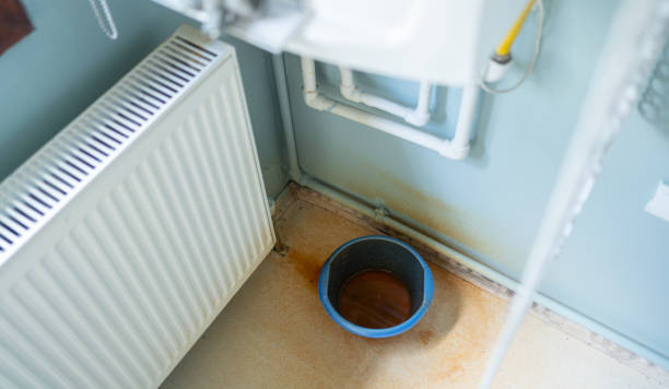 Best Ceiling water damage repair  in Brooklyn Center, MN