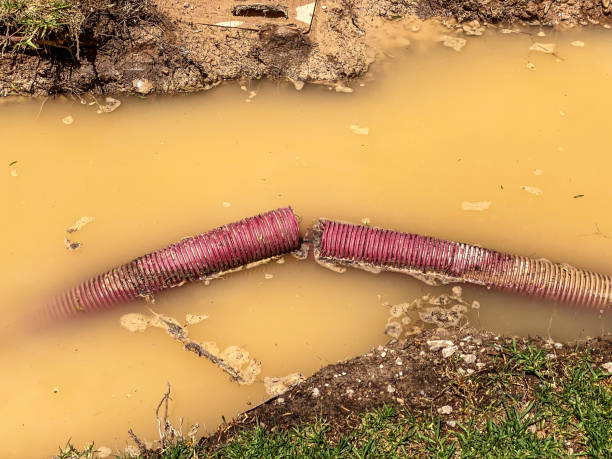 Best Water damage repair service  in Brooklyn Center, MN